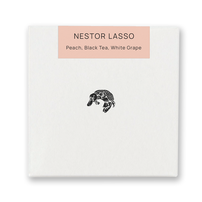 Colombia Nestor Lasso Mixed Varietal Anaerobic Washed