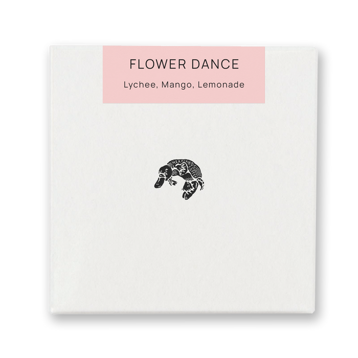 Flower Dance | Special Blend *Limited Edition