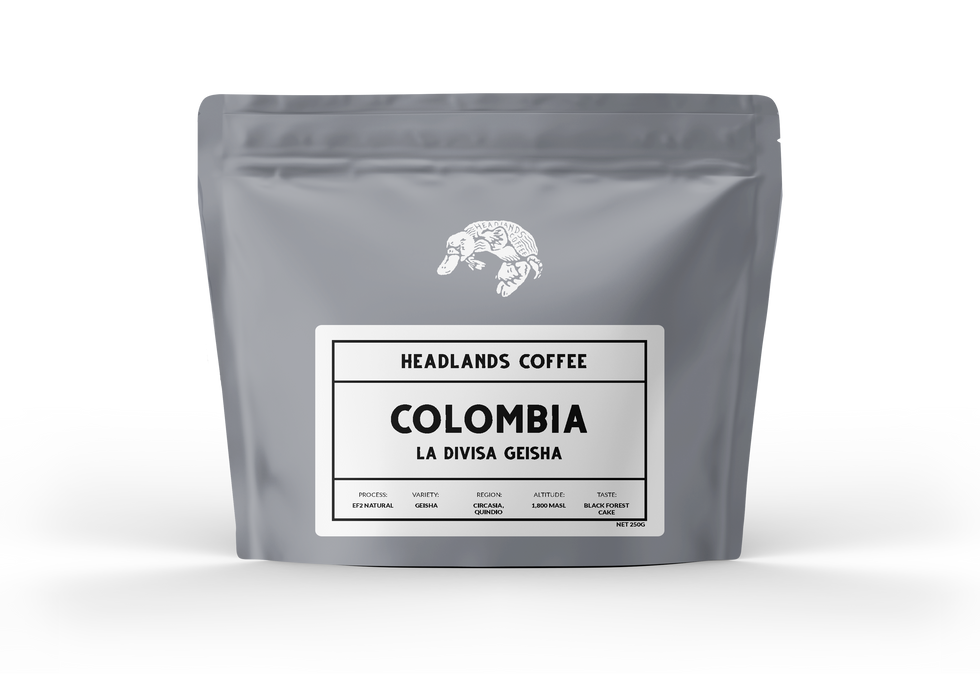 Colombia La Divisa Geisha EF2 Natural